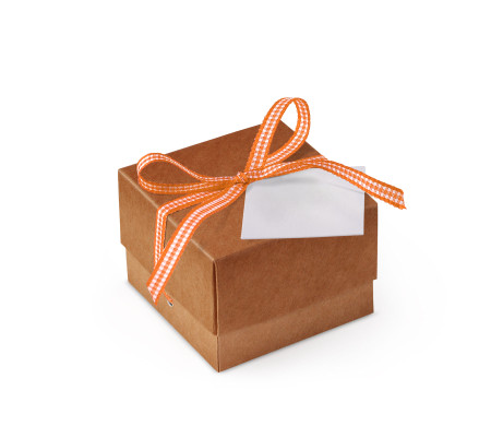 Bonita Caja Regalo con Tapa y Lazo Decorativo