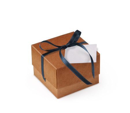Bonita Caja Regalo con Tapa y Lazo Decorativo