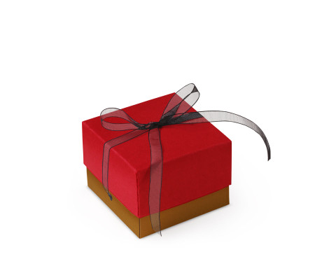 Graziosa Scatola Regalo con Coperchio e Fiocco Decorativo 