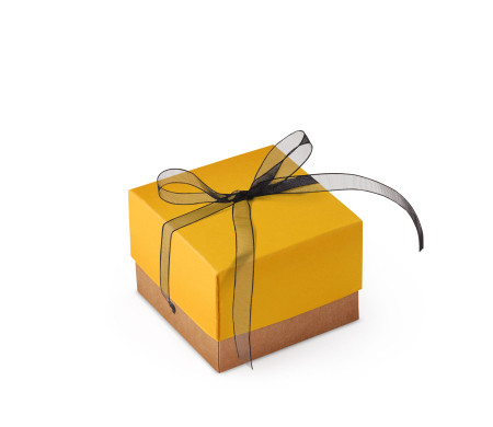 Pretty Gift Box with Lid and Decorative Bow