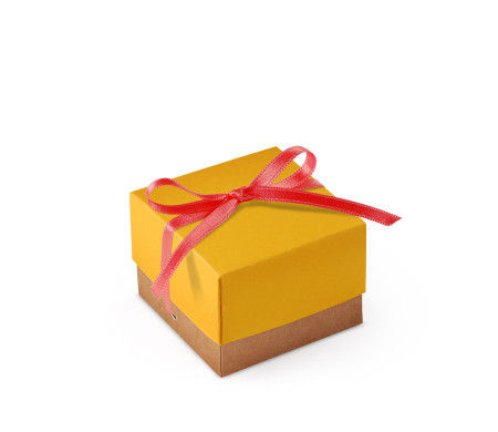 Jolie Boîte Cadeau avec Fermeture et Noeud Décoratif
