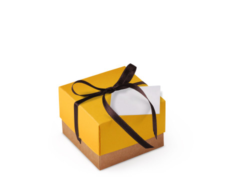 Bonita Caja Regalo con Tapa y Lazo Decorativo