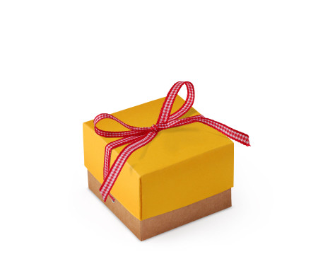 Bonita Caja Regalo con Tapa y Lazo Decorativo