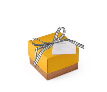 Bonita Caja Regalo con Tapa y Lazo Decorativo
