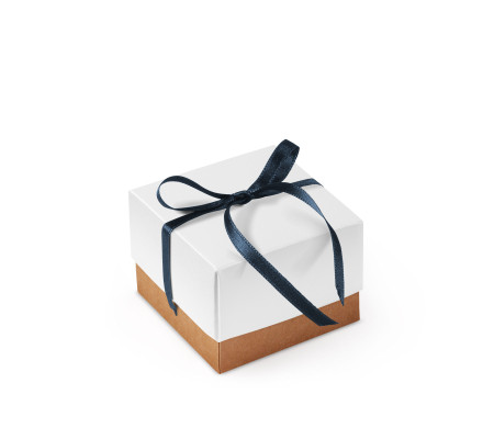 Bonita Caja Regalo con Tapa y Lazo Decorativo