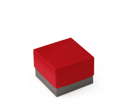Graziosa Scatola Regalo con Coperchio e Fiocco Decorativo 