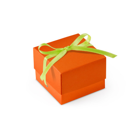 Graziosa Scatola Regalo con Coperchio e Fiocco Decorativo 