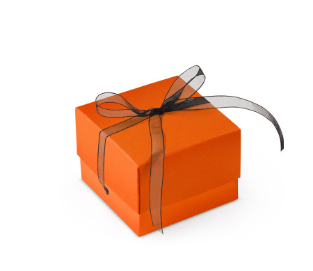 Graziosa Scatola Regalo con Coperchio e Fiocco Decorativo 