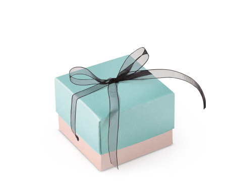 Graziosa Scatola Regalo con Coperchio e Fiocco Decorativo 