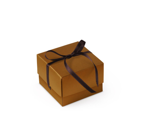 Bonita Caja Regalo con Tapa y Lazo Decorativo