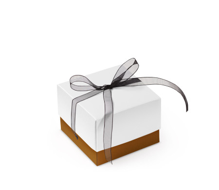Jolie Boîte Cadeau avec Fermeture et Noeud Décoratif