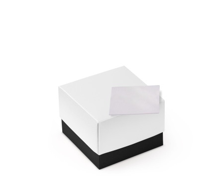 Jolie Boîte Cadeau avec Fermeture et Noeud Décoratif