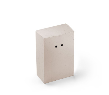 Boîte Cadeau en Carton avec Fermeture Originale