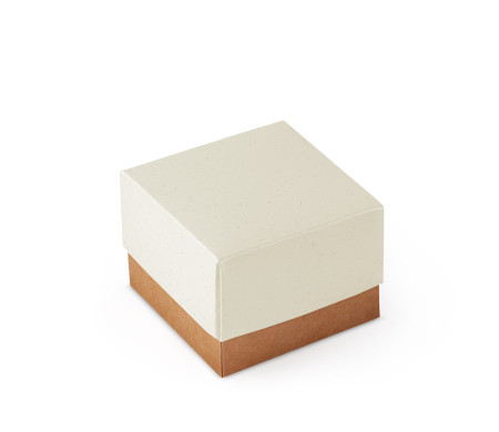 Bonita Caja Regalo con Tapa y Lazo Decorativo