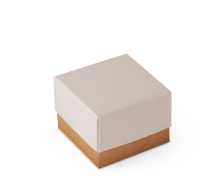Bonita Caja Regalo con Tapa y Lazo Decorativo