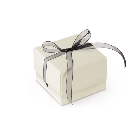 Schöne Geschenkbox mit Deckel und Schleife