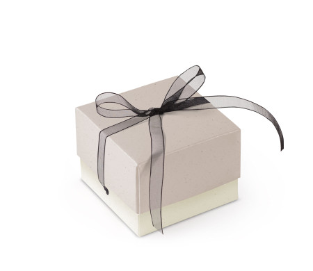 Bonita Caja Regalo con Tapa y Lazo Decorativo