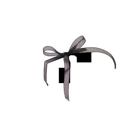 Graziosa Scatola Regalo con Coperchio e Fiocco Decorativo 