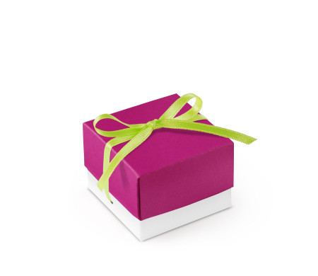 Graziosa Scatola Regalo con Coperchio e Fiocco Decorativo 
