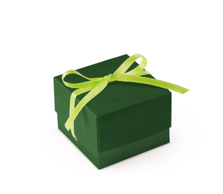 Schöne Geschenkbox mit Deckel und Schleife