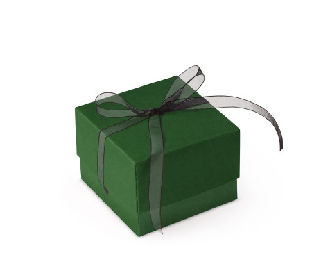 Bonita Caja Regalo con Tapa y Lazo Decorativo