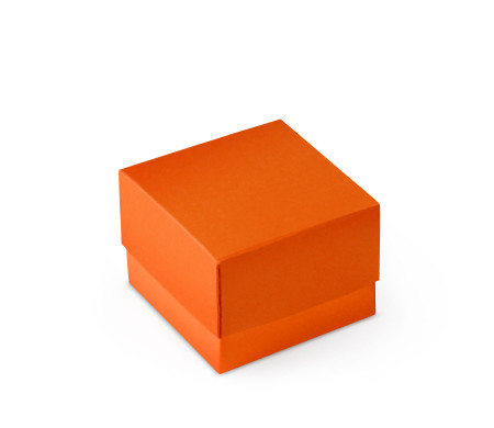 Graziosa Scatola Regalo con Coperchio e Fiocco Decorativo 