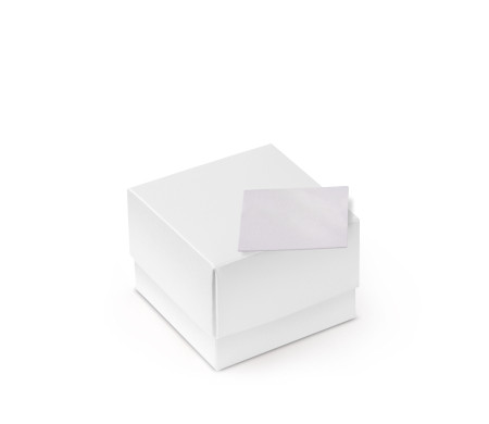 Jolie Boîte Cadeau avec Fermeture et Noeud Décoratif