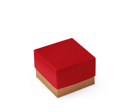 Bonita Caja Regalo con Tapa y Lazo Decorativo