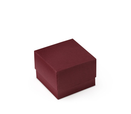Graziosa Scatola Regalo con Coperchio e Fiocco Decorativo 