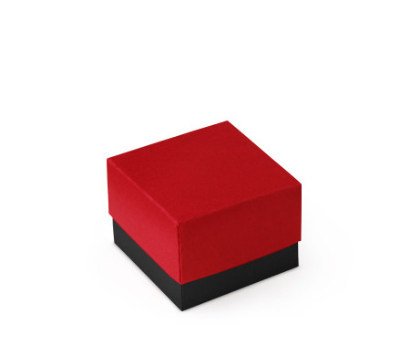 Bonita Caja Regalo con Tapa y Lazo Decorativo