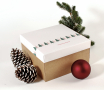 Square box with lid and Christmas print 