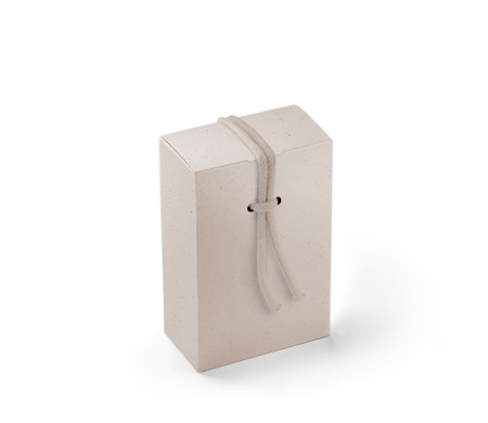 Geschenkverpackung aus Karton mit einem sehr Originellen Verschluß