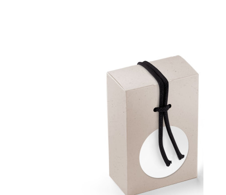 Cardboard Gift Box with a Very Original Fastener