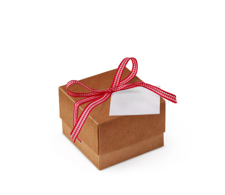 Bonita Caja Regalo con Tapa y Lazo Decorativo