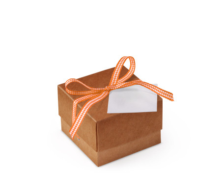 Graziosa Scatola Regalo con Coperchio e Fiocco Decorativo 