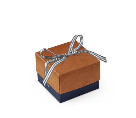 Graziosa Scatola Regalo con Coperchio e Fiocco Decorativo 