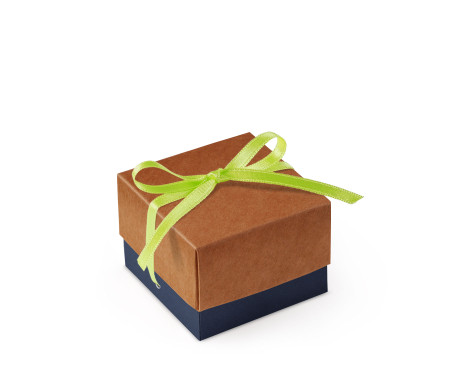 Bonita Caja Regalo con Tapa y Lazo Decorativo