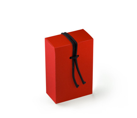 Scatola Regalo in Cartone con Un'Originalissima Chiusura