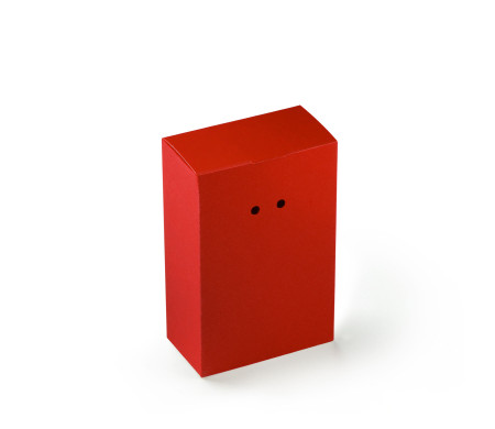 Boîte Cadeau en Carton avec Fermeture Originale