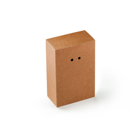 Boîte Cadeau en Carton avec Fermeture Originale