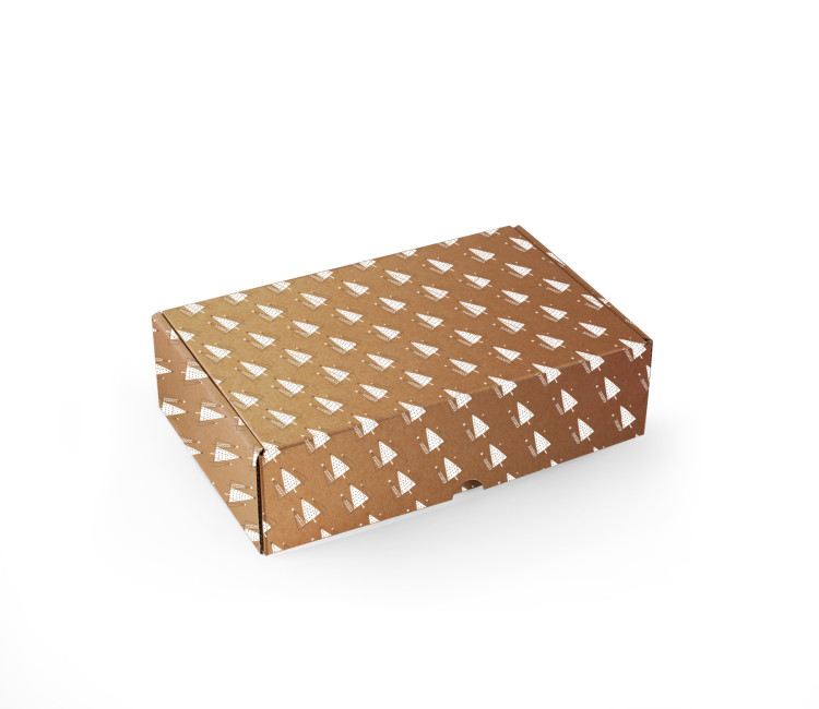 Boîte en Carton Résistante Auto-Montable