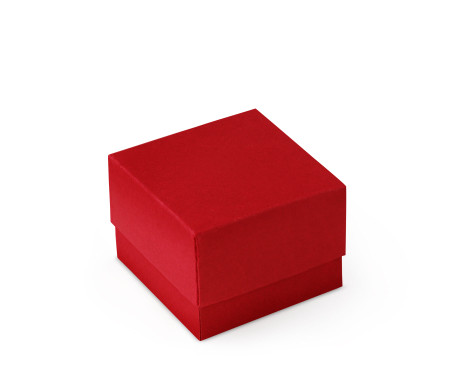 Graziosa Scatola Regalo con Coperchio e Fiocco Decorativo 