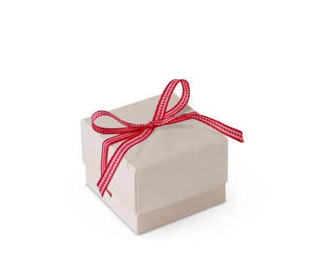 Bonita Caja Regalo con Tapa y Lazo Decorativo