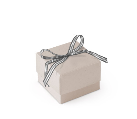 Bonita Caja Regalo con Tapa y Lazo Decorativo