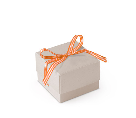 Schöne Geschenkbox mit Deckel und Schleife