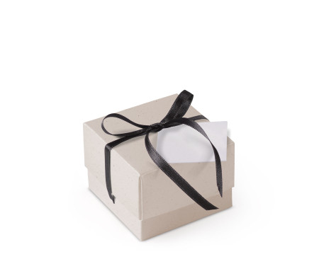 Bonita Caja Regalo con Tapa y Lazo Decorativo