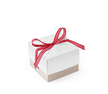 Bonita Caja Regalo con Tapa y Lazo Decorativo
