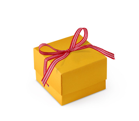 Bonita Caja Regalo con Tapa y Lazo Decorativo