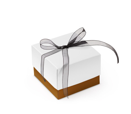 Jolie Boîte Cadeau avec Fermeture et Noeud Décoratif