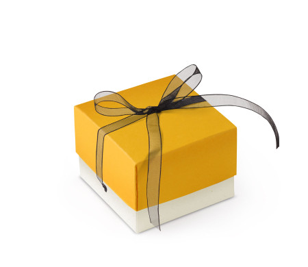 Schöne Geschenkbox mit Deckel und Schleife
